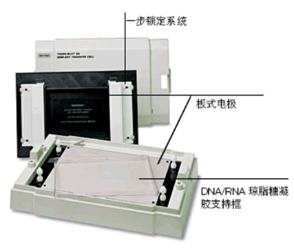 美国伯乐BIO-RAD电转印槽 冷冻研磨仪; 青岛科诺达仪器有限公司